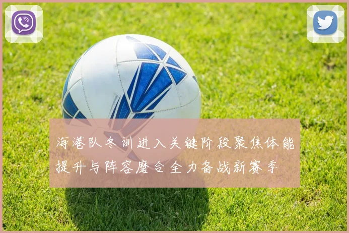 海港队冬训进入关键阶段聚焦体能提升与阵容磨合全力备战新赛季