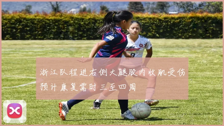 浙江队程进右侧大腿股内收肌受伤预计康复需时三至四周