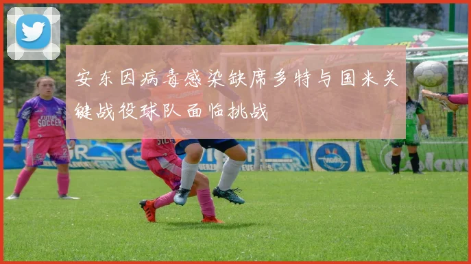 安东因病毒感染缺席多特与国米关键战役球队面临挑战